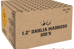 1181-Dahlia-Madness-Crown-Collection-Vuurwerkexpert