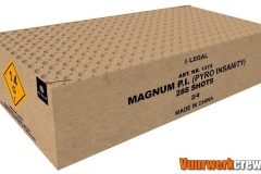 1373-Magnum-Pyro-Insanity-I-Legal-Magnum-Vuurwerk