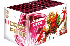 3380_DRGN_Pride