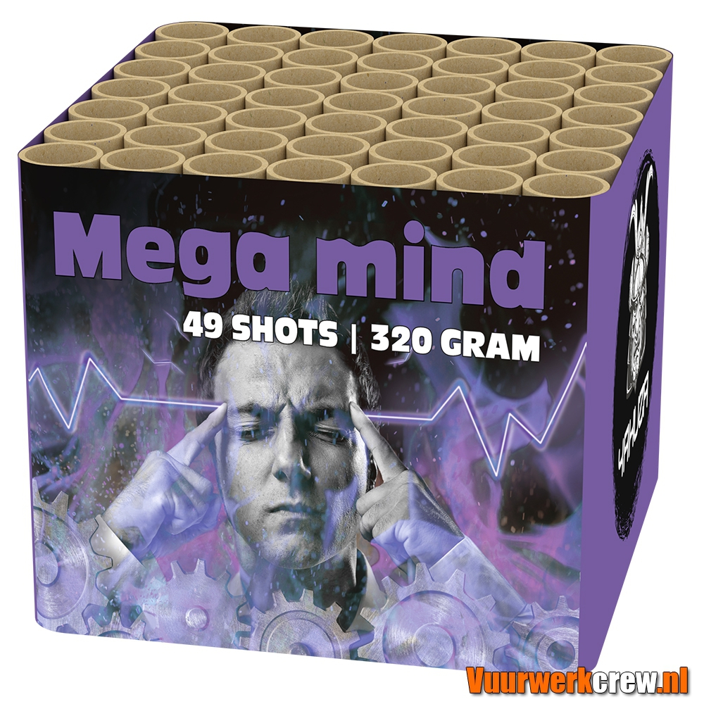 mega mind mega mind