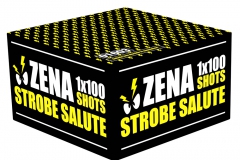 01603 Zena strobe salute_2 kopiëren