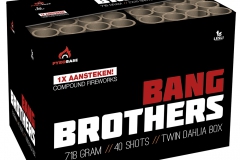 02152 Bang brothers kopiëren