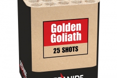 03624 Golden Goliath kopiëren
